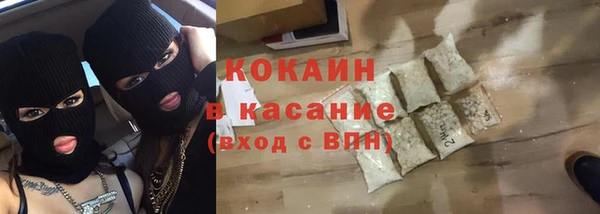 прущие грибы Инта