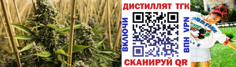 ТГК гашишное масло  Светлый 